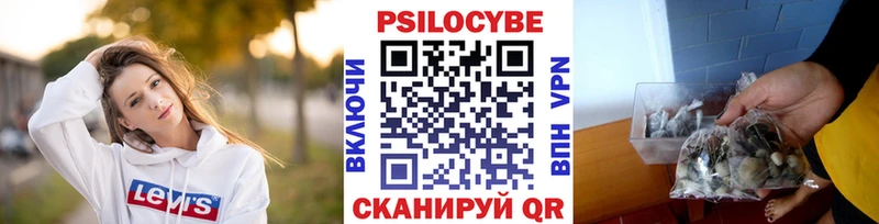 наркота  Тайга  Галлюциногенные грибы Psilocybe 